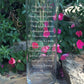 I Thought of You | In Loving Memory Floating Candle Memorial Vase
