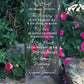 My Heart Will Treasure | In Loving Memory Floating Candle Memorial Vase