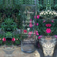 Beautifully Lived and Loved | In Loving Memory Floating Candle Memorial Vase